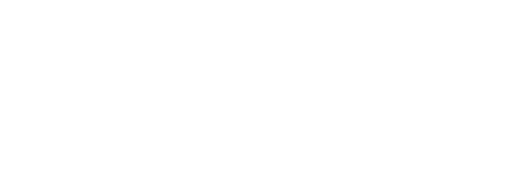 Virtual Product Management Logo